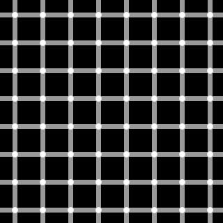 Image:320px-Grid illusion.svg.png