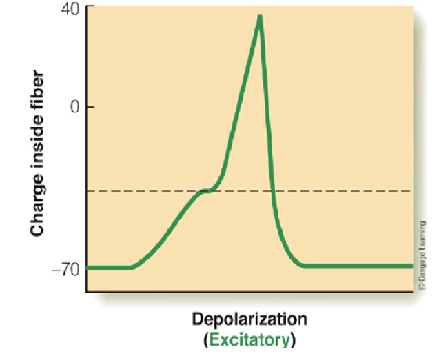 Image:02Action Potential.png