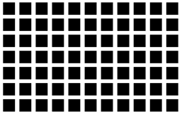 Image:Hermann grid.GIF