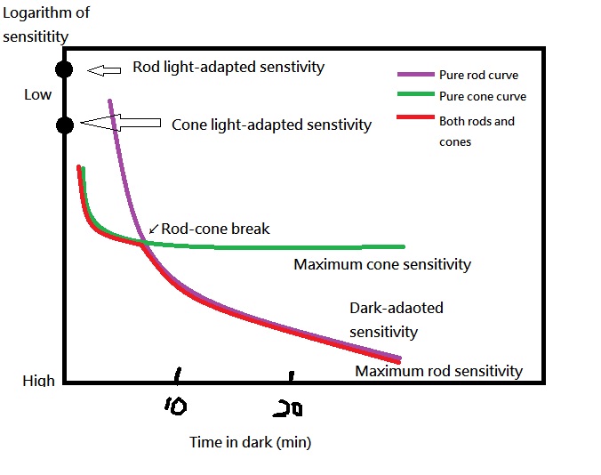Image:Dark adapted curve.jpg