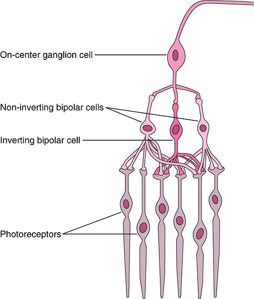 Image:Network.jpg