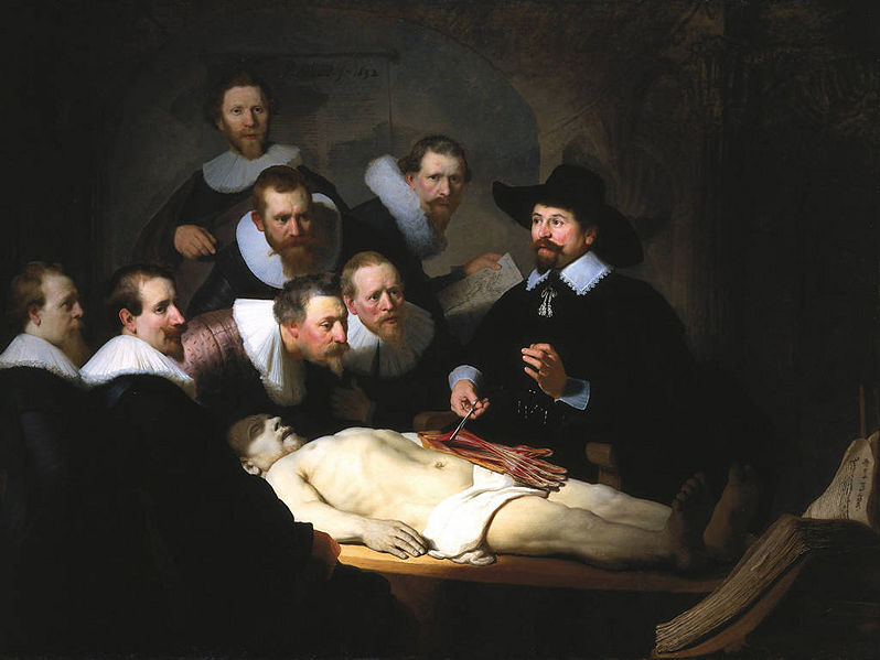 Image:Rembrant-anatomy.jpg
